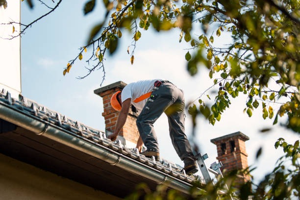 Best Roof Replacement Cost  in Sidney, IL