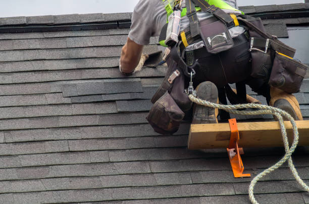Best Storm Damage Roof Repair  in Sidney, IL