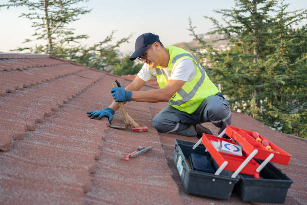 Best Residential Roofing Contractor  in Sidney, IL