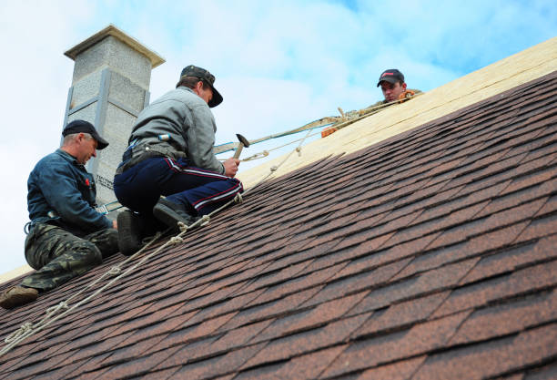 Trusted Sidney, IL Roofing Contractor Experts